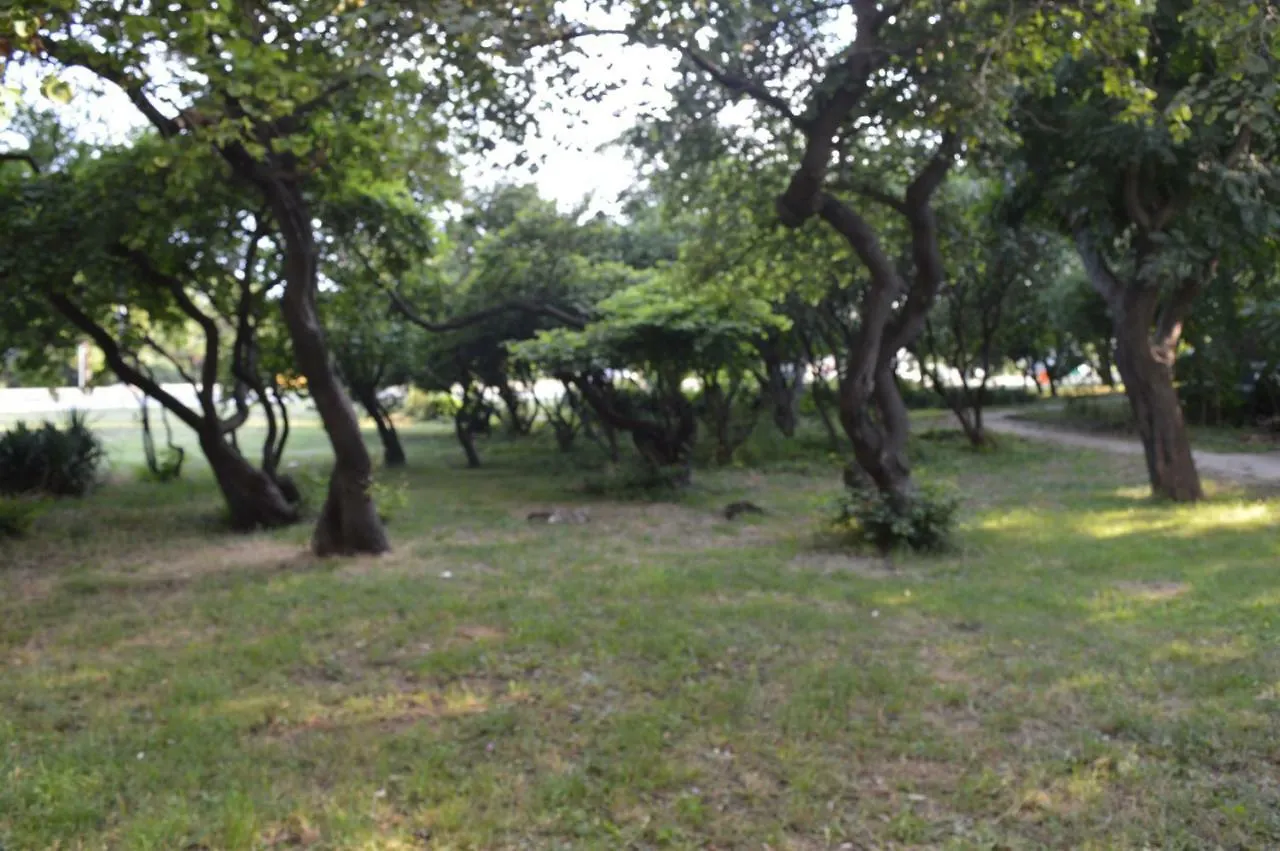 Happy Vacation 2 Apartment Varna